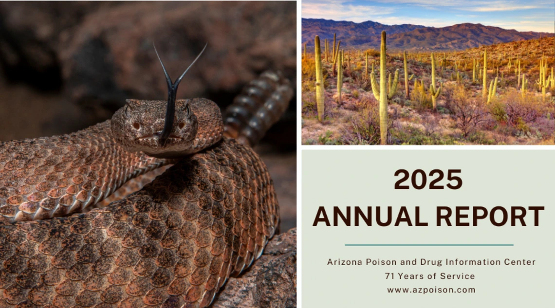 rattlesnake, Sonoran Desert, with text reading 2025 Annual Report